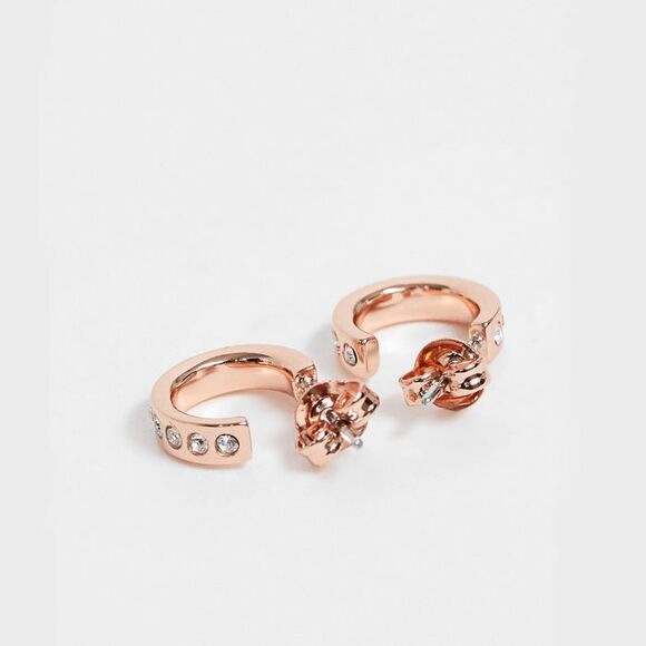 ❤︎ Ted Baker ❤︎ Seeni Mini hoop huge swarovski crystal earrings - Picture 4 of 7